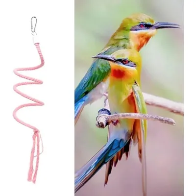 ZENITHMIND Jouet d'escalade pour perruches et calopsittes 150CM rose ZENITHMIND Jouet d'escalade pour perruches et calopsittes 150CM rose