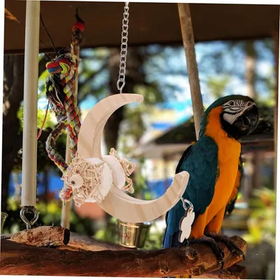 ZENITHMIND Jouets Cage pour Animaux De Compagnie