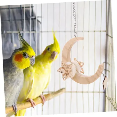 ZENITHMIND Jouets Cage pour Animaux De Compagnie
