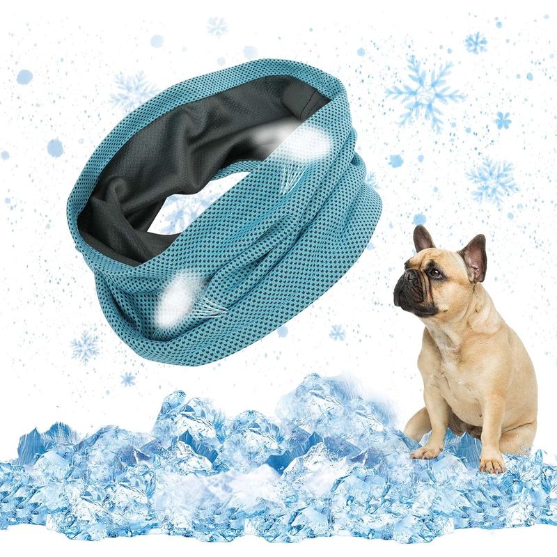 KPYTE Collier rafraîchissant d'été pour chien