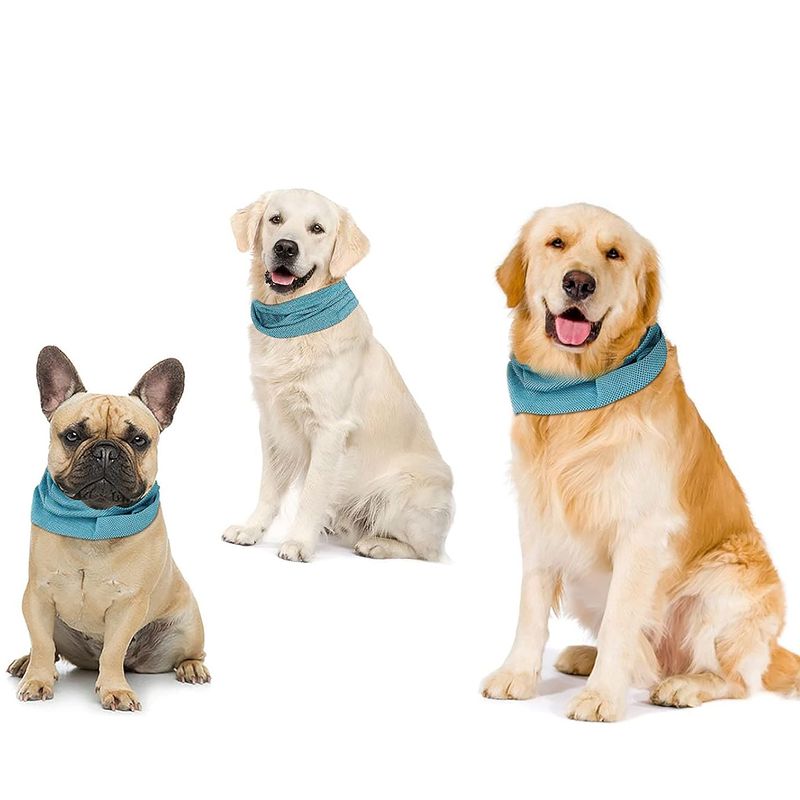 KPYTE Collier rafraîchissant d'été pour chien