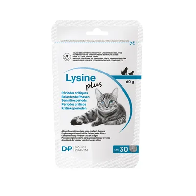 Lysine Plus Lysine Plus