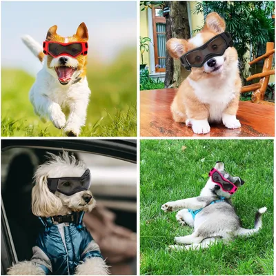 UAMLY Schutzbrille für kleine Hunde UAMLY Schutzbrille für kleine Hunde