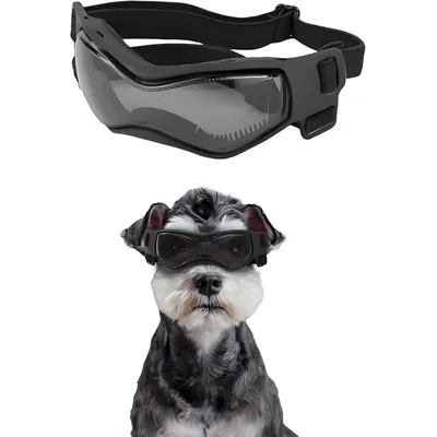 UAMLY Lunettes de protection pour petits chiens