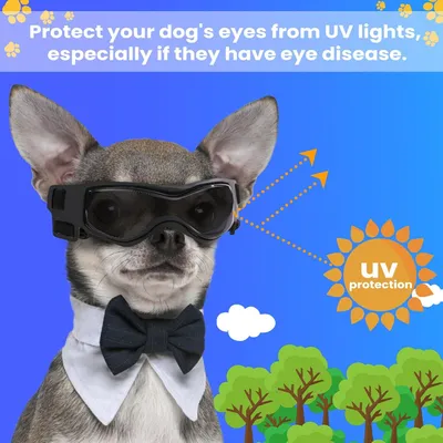 UAMLY Schutzbrille für kleine Hunde UAMLY Schutzbrille für kleine Hunde