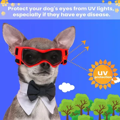 UAMLY Schutzbrille für kleine Hunde UAMLY Schutzbrille für kleine Hunde