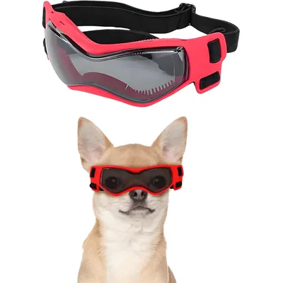 UAMLY Schutzbrille für kleine Hunde UAMLY Schutzbrille für kleine Hunde