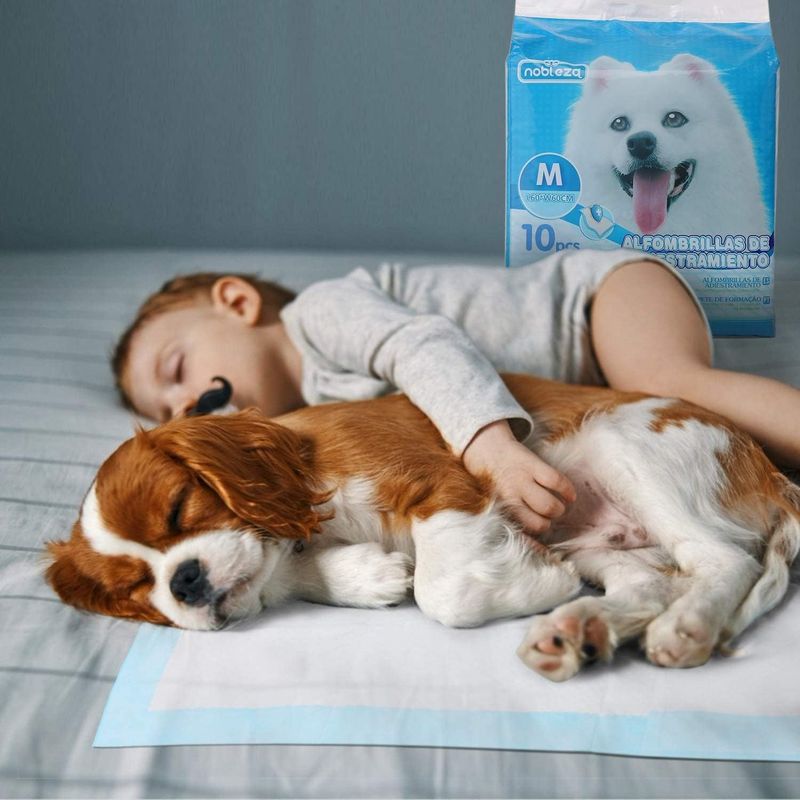 Chiots Tapis hygiénique de propreté