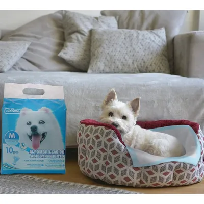 Chiots Tapis hygiénique de propreté