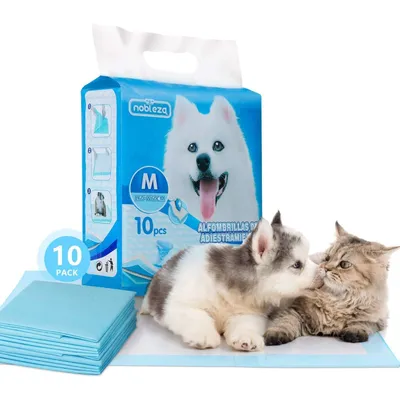 Chiots Tapis hygiénique de propreté