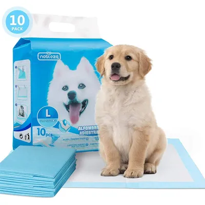Chiots Tapis hygiénique de propreté