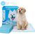 Chiots Tapis hygiénique de propreté
