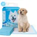 Chiots Tapis hygiénique de propreté