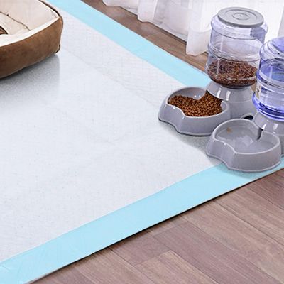 Chiots Tapis hygiénique de propreté