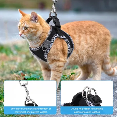 UAMLY Laisse pour chat avec bandes réfléchissantes