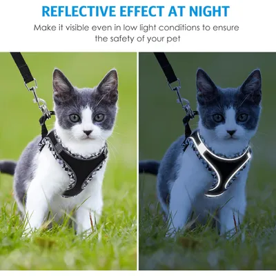 UAMLY Laisse pour chat avec bandes réfléchissantes