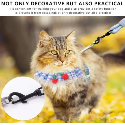 UAMLY Harnais respirant pour chat avec laisse