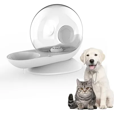 KPYTE Fontaine à eau automatique pour chat