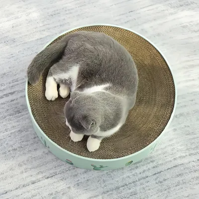 FurryFusion Griffoir rond pour chat