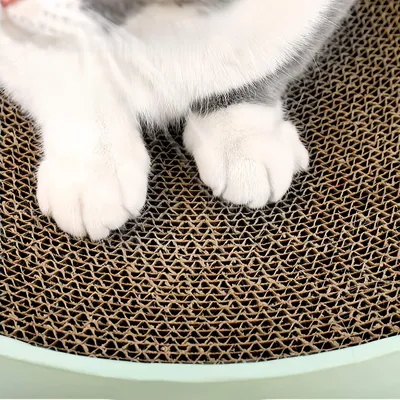 FurryFusion Griffoir rond pour chat
