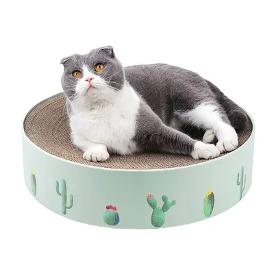 FurryFusion Griffoir rond pour chat