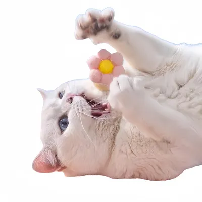 FurryFusion Lot de 6 Jouet pour chat en forme de fleur balle
