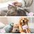 KPYTE Brosse de nettoyage pour chat et chien