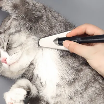 FurryFusion  Peigne triangulaire pour le toilettage des animaux