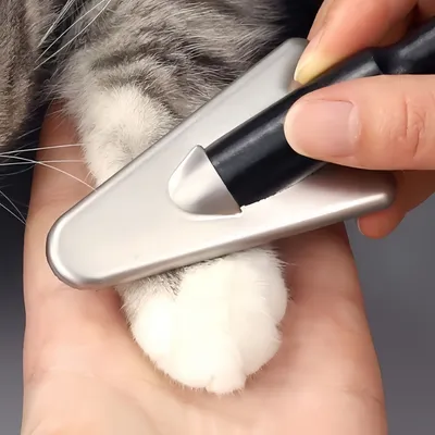 FurryFusion  Peigne triangulaire pour le toilettage des animaux