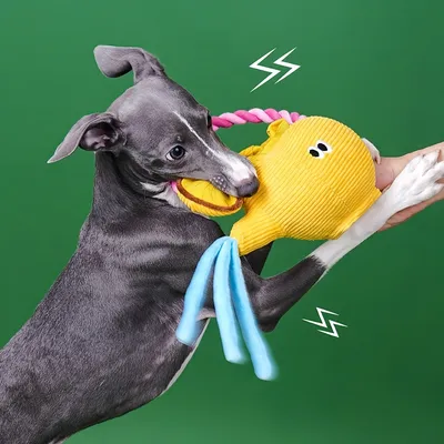 FurryFusion Jouet en peluche théière pour chat et chien