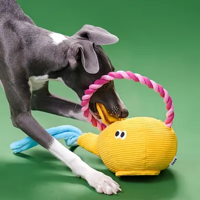 FurryFusion Jouet en peluche théière pour chat et chien