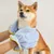 FurryFusion Gants de bain pour chats et chiens