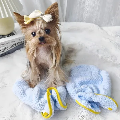 FurryFusion Gants de bain pour chats et chiens