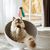 Jouet interactif en plumes pour chats