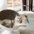 Jouet interactif en plumes pour chats