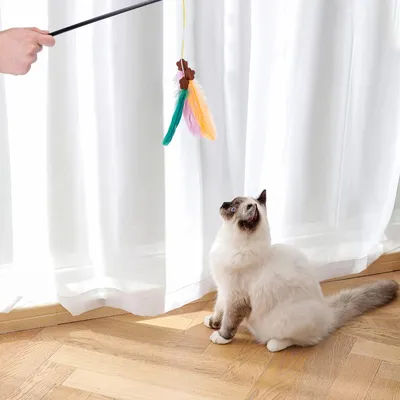Jouet interactif en plumes pour chats