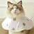 FurryFusion Collier anti-léchage pour chat