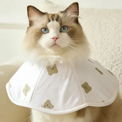 FurryFusion Collier anti-léchage pour chat