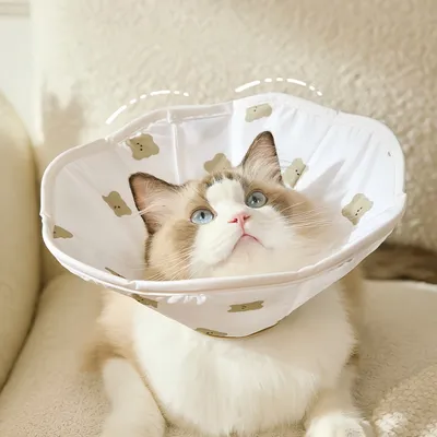FurryFusion Collier anti-léchage pour chat