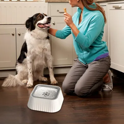 KPYTE Gamelle flottante pour chien