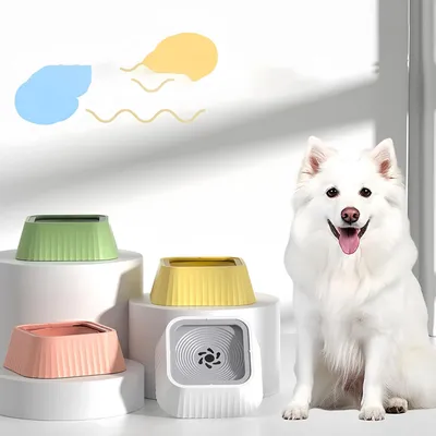 KPYTE Gamelle flottante pour chien