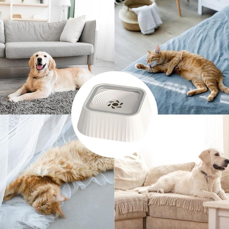 KPYTE Gamelle flottante pour chien