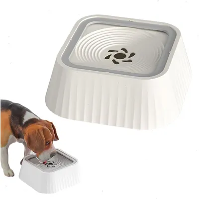 KPYTE Gamelle flottante pour chien