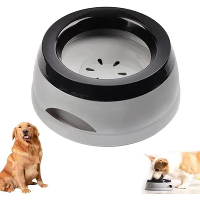 KPYTE Comedero para perros a prueba de salpicaduras