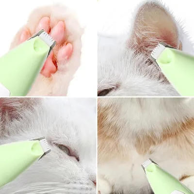 FurryFusion Tondeuse pour pattes d'animaux avec lumière LED