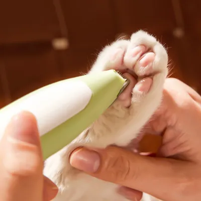 FurryFusion Tondeuse pour pattes d'animaux avec lumière LED