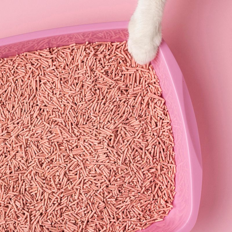 Litière Biologique pour Chats au Tofu 5,5 L
