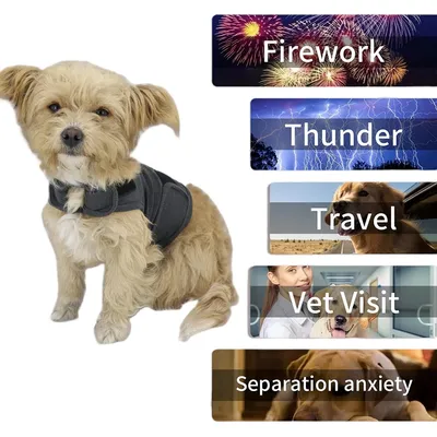 FurryFusion Ropa de confort emocional para perros