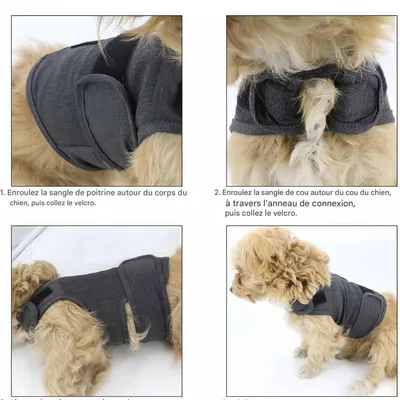 FurryFusion Ropa de confort emocional para perros