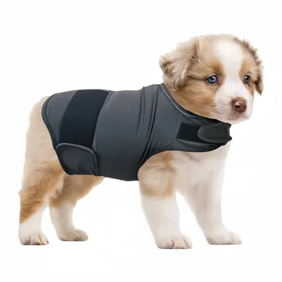 FurryFusion Ropa de confort emocional para perros